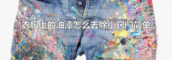 衣服上的油漆怎么去除小窍门简单