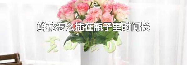 鲜花怎么插在瓶子里时间长