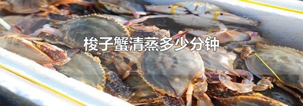 梭子蟹清蒸多少分钟