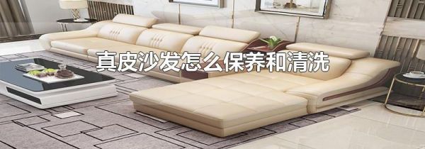 真皮沙发怎么保养和清洗