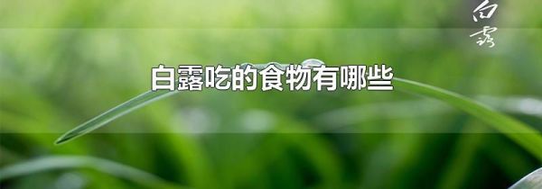 白露吃的食物有哪些