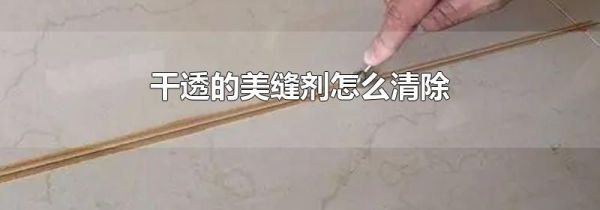 干透的美缝剂怎么清除