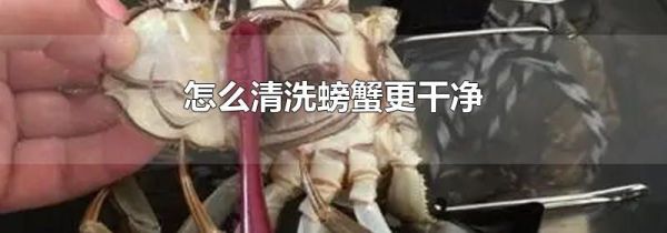 怎么清洗螃蟹更干净