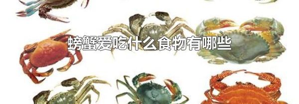 螃蟹爱吃什么食物有哪些