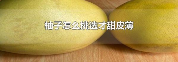 柚子怎么挑选才甜皮薄