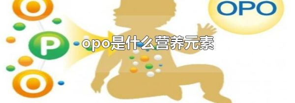 opo是什么营养元素