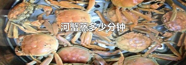河蟹蒸多少分钟