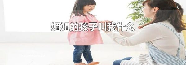 姐姐的孩子叫我什么