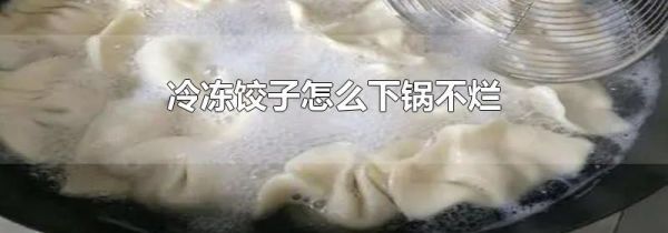 冷冻饺子怎么下锅不烂