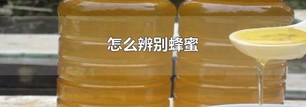 怎么辨别蜂蜜