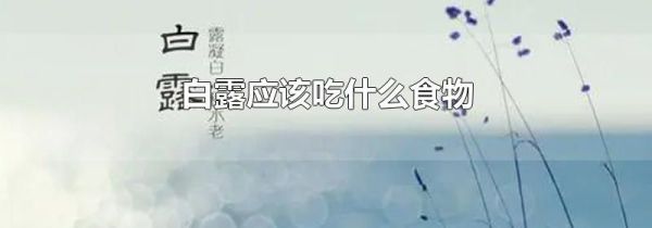 白露应该吃什么食物