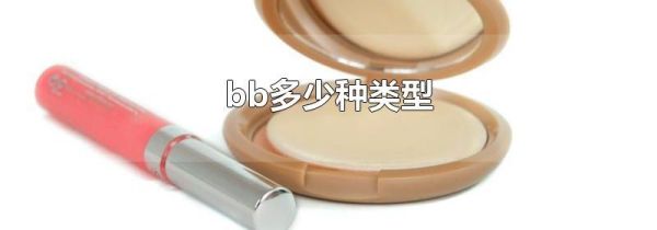 bb多少种类型