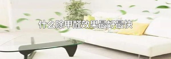 什么除甲醛效果最好最快