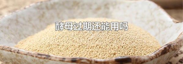 酵母过期还能用吗
