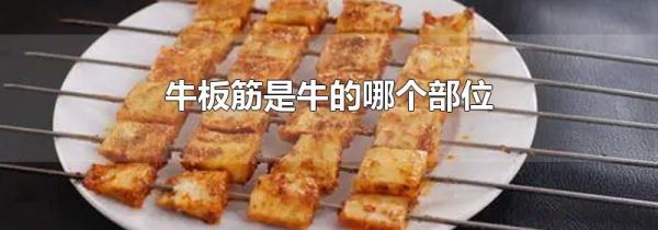 牛板筋是牛的哪个部位