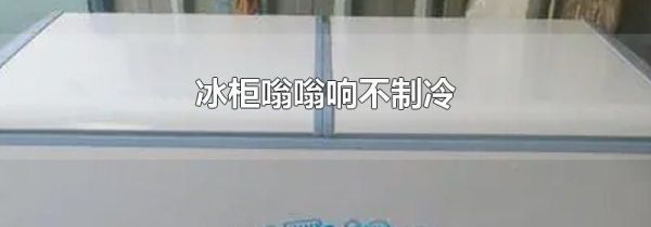 冰柜嗡嗡响不制冷