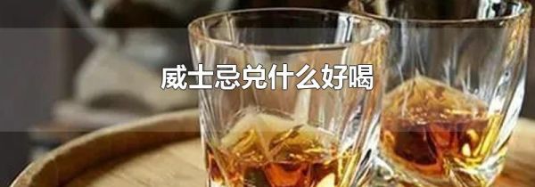 威士忌兑什么好喝