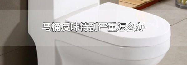 马桶反味特别严重怎么办