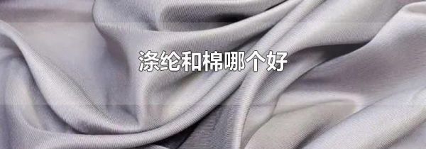 涤纶和棉哪个好