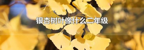 银杏树叶像什么二年级