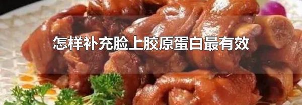 怎样补充脸上胶原蛋白最有效