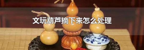 文玩葫芦摘下来怎么处理