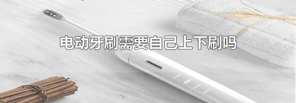 电动牙刷需要自己上下刷吗