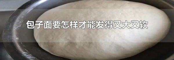 包子面要怎样才能发得又大又软