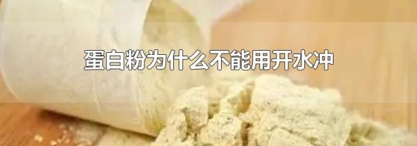 蛋白粉为什么不能用开水冲