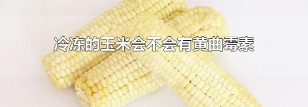 冷冻的玉米会不会有黄曲霉素