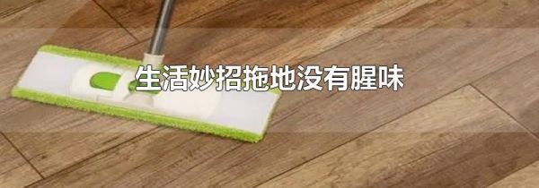 生活妙招拖地没有腥味