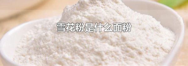 雪花粉是什么面粉