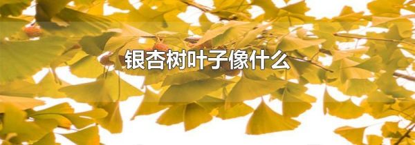 银杏树叶子像什么