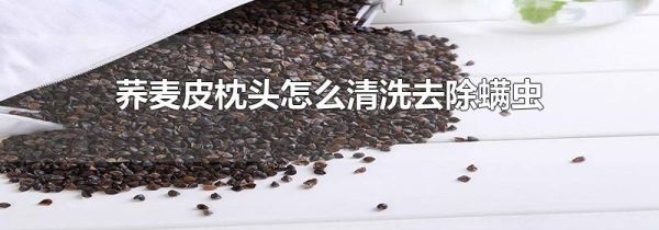 荞麦皮枕头怎么清洗去除螨虫