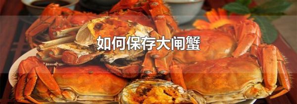 如何保存大闸蟹