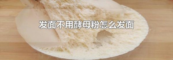 发面不用酵母粉怎么发面