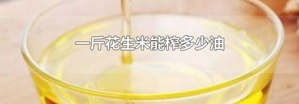 一斤花生米能榨多少油