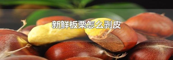 新鲜板栗怎么剥皮