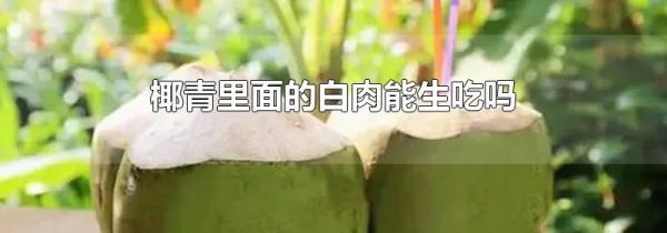 椰青里面的白肉能生吃吗