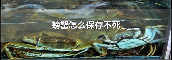 螃蟹怎么保存不死