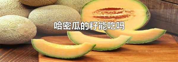 哈密瓜的籽能吃吗