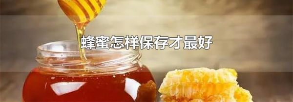 蜂蜜怎样保存才最好