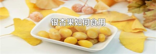 银杏果如何食用