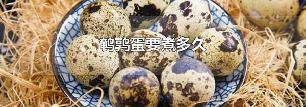 鹌鹑蛋要煮多久