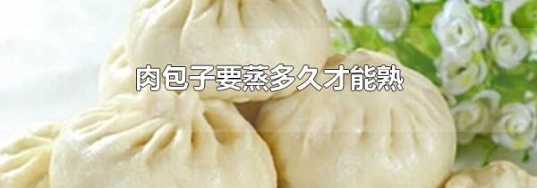 肉包子要蒸多久才能熟