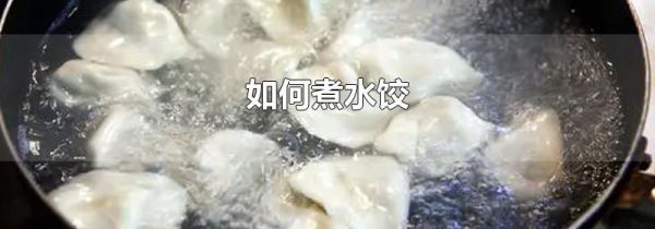 如何煮水饺