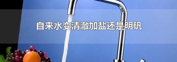 自来水变清澈加盐还是明矾