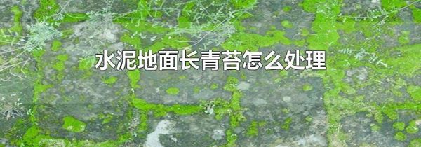 水泥地面长青苔怎么处理