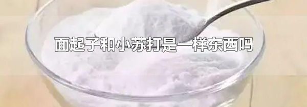 面起子和小苏打是一样东西吗