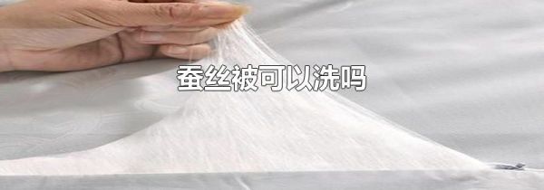 蚕丝被可以洗吗